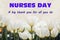The text of the greeting on the medical holiday-day of the nurse is written on a background of tulips