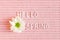 Text hello spring on pink felt letter boar with white blooming flower of chrysanthemum