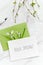 Text Hello Spring. Spring background in shades of green. Paper envelope with greeting card. Springtime twigs with fresh