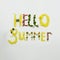 Text HELLO summer floral lettering made of leaves and herbs on white background. Top view flat lay