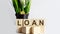 Text LOAN is written on wooden building blocks on the white background. Business concept