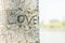 The text `Love` on the tree , the time of love