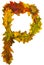 Text made by autumn leaves. English alphabet