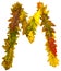 Text made by autumn leaves. English alphabet