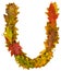 Text made by autumn leaves. English alphabet