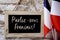 Text parlez-vous francais? do you speak French?