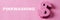 Text pinkwashing and pink dollar sign, web banner