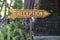 Text reception on a wooden board near tropical hotel in Bali island, Indonesia. Reception wooden sign inscription in the asian