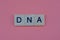 Text from the short word dna from gray square wooden letters