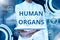 Text showing inspiration Human Organs. Word for The internal genital structures of the human body Lady Uniform Standing