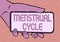 Text showing inspiration Menstrual Cycle. Business showcase monthly cycle of changes in the ovaries and uterus lining