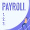 Text showing inspiration Payroll. Business overview Total amount of money company pays to employees Salary Payment