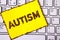 Text sign showing Autism. Conceptual photo Autism Awareness conducted by social committee around the globe written on Yellow Stick