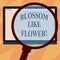 Text sign showing Blossom Like Flower. Conceptual photo plant or tree that will form the seeds or fruit Magnifying Glass