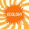 Text sign showing Ecology. Conceptual photo Branch of science relation organisms environment Scientific study