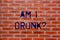 Text sign showing Am I Drunk. Conceptual photo Doubtful if my alcohol levels are high addiction alcoholism Brick Wall