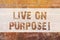 Text sign showing Live On Purpose. Conceptual photo Have a goal mission motivation to keep going inspiration Brick Wall