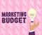 Text sign showing Marketing Budget. Internet Concept process of human origin that used to convey media