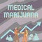 Text sign showing Medical Marijuana. Conceptual photo available only by prescription and used to treat illness Two Men