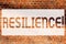 Text sign showing Resilience. Conceptual photo Capacity to recover quickly from difficulties Persistence Brick Wall art like