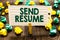 Text sign showing Send Resume. Conceptual photo brief account persons education qualifications and occupations Clothespin holding