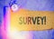 Text sign showing Survey. Conceptual photo research method used for collecting data from a predefined group