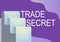 Text sign showing Trade Secret. Business concept Confidential information about a product Intellectual property File