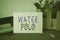 Text sign showing Water Polo. Conceptual photo competitive team sport played in the water between two teams Flowers and