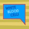 Text sign showing White Blood Cell. Conceptual photo Leucocytes in charge of protect body from infections Blank