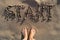 Text start written in sand on sea beach and womans bare feet