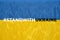 Text on Ukrainian flag Stand with Ukraine.