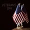 Text veterans day and american flags