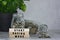 Text on wood block with glass jars of multicurrency coins and potted plant