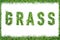 Text word GRASS from green grass isolated