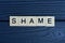 text the word shame from brown wooden small letters