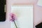 Textbook with empty place for text, copy space, office concept, beautiful blooming pink flower - hyacinth