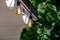 Textile awning in the backyard gazebo with a garland of strings of retro edison lamps.