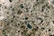 Textural grey cement background with nature pebbles