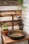 Textural old vintage washbasin in rustic style. Potted flowers in a greenhouse closeup and copy space