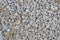Texture 5916 - dirty gravel