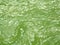 Texture of algae