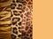 Texture of animal skins