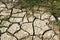 Texture of arid and desert land