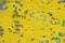 Texture background of bright yellow peeling paint on wall