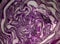 Texture background, Close up nature lilac cabbage top view