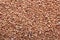 Texture background - close up of raw buckwheat