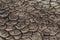 Texture background of dry soil