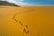 Texture background : footprints of human feet on the desert sand