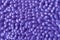 Texture or background formed by the detail of violet coral.