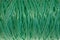 Texture background green thread weave